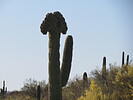 photo thumbnail #4