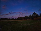 photo thumbnail #13