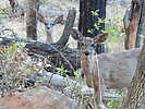 photo thumbnail #8