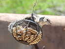 photo thumbnail #13