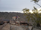 photo thumbnail #15