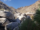 photo thumbnail #9