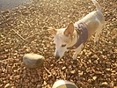 photo thumbnail #5