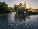 photo thumbnail #8