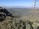 photo thumbnail #3