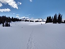 photo thumbnail #7