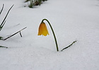 photo thumbnail #10