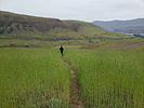 photo thumbnail #10