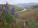 photo thumbnail #11