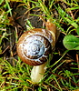 photo thumbnail #14