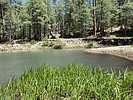 photo thumbnail #3