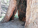 photo thumbnail #6
