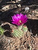 photo thumbnail #10
