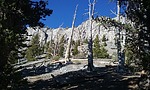 photo thumbnail #15