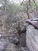photo thumbnail #5