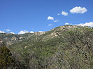 photo thumbnail #10