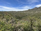 Featured Full Photo