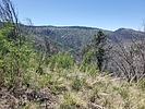 photo thumbnail #11