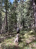 photo thumbnail #4