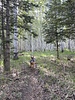 photo thumbnail #3