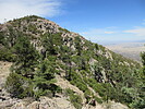 photo thumbnail #2