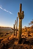 photo thumbnail #12