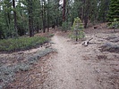 photo thumbnail #1