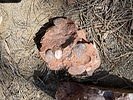 photo thumbnail #13