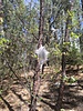 photo thumbnail #12
