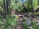 photo thumbnail #3