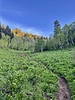 photo thumbnail #12