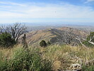photo thumbnail #8
