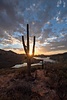 photo thumbnail #12