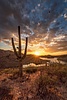 photo thumbnail #14