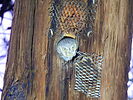photo thumbnail #11