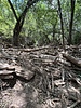 photo thumbnail #6
