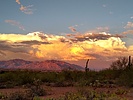 photo thumbnail #5