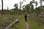 photo thumbnail #4