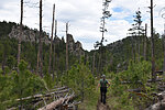 photo thumbnail #8