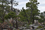 photo thumbnail #12