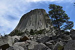 photo thumbnail #10