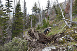 photo thumbnail #8