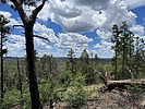 photo thumbnail #3
