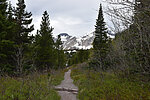 photo thumbnail #8