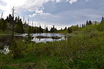photo thumbnail #10