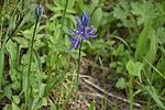photo thumbnail #15