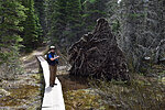 photo thumbnail #10
