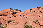 photo thumbnail #4