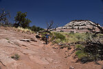 photo thumbnail #6