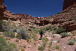 photo thumbnail #10